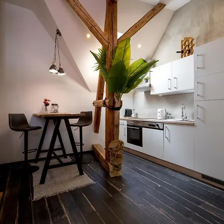 Loft - Im Herzen Der Altstadt Apartament