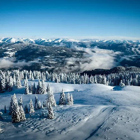 Loft - Im Herzen Der Altstadt Appartamento Murau