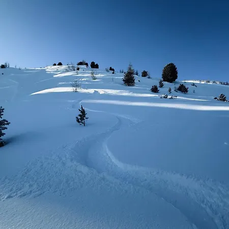 Loft - Im Herzen Der Altstadt Apartment *